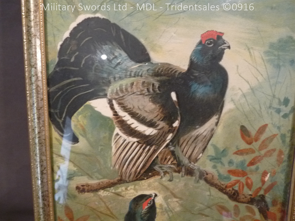 Kynock Ammunition Wildlife Advertising Boards - Image 13