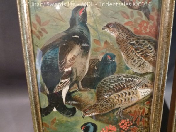 Kynock Ammunition Wildlife Advertising Boards - Image 12