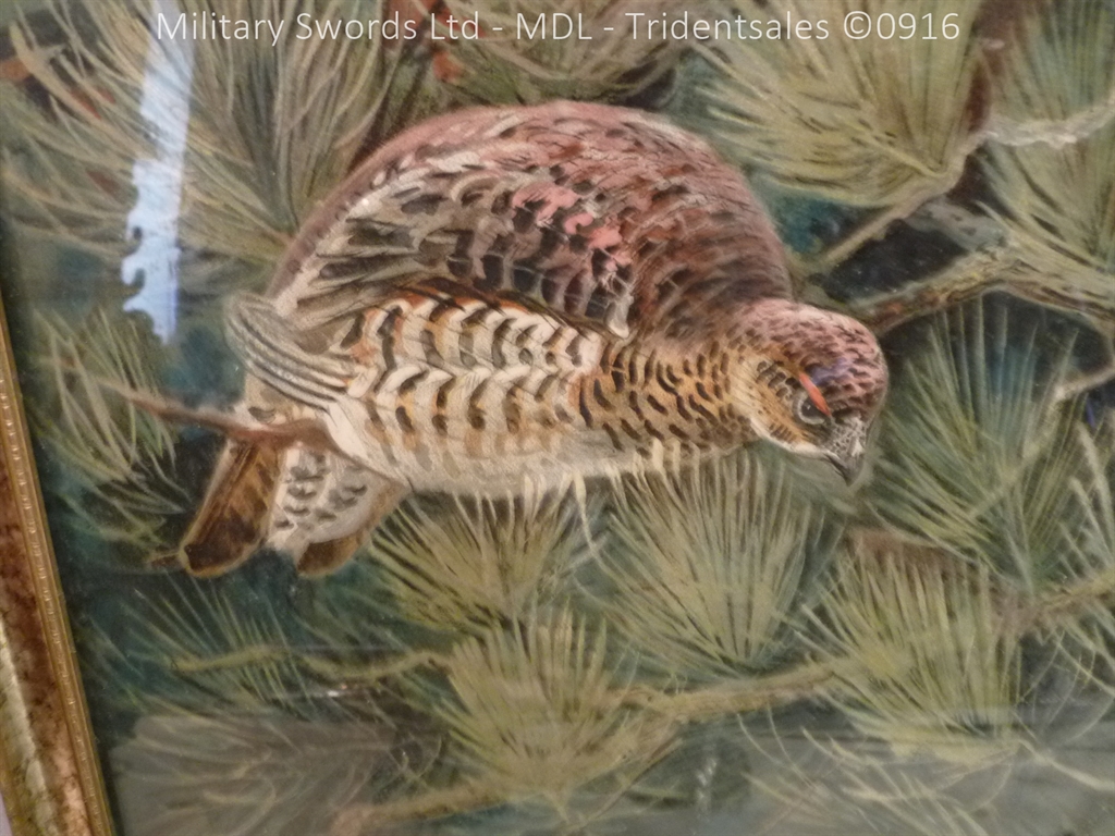 Kynock Ammunition Wildlife Advertising Boards - Image 11