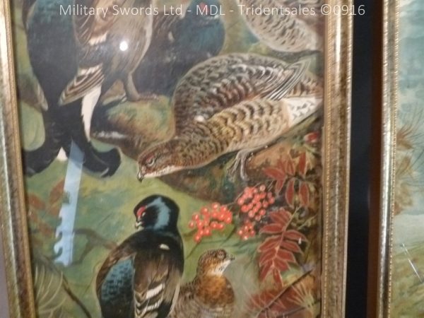 Kynock Ammunition Wildlife Advertising Boards - Image 10